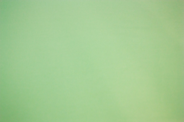 Кулир с лайкрой рулон компакт пенье однотонный 500.591/yesil 200гр 185см